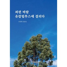 쉽게읽는토목이야기