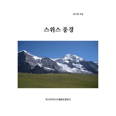 [미스터디어트래블컨설턴시]스위스 풍경, 미스터디어트래블컨설턴시, 공수영