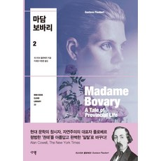 [생각뿔]마담 보바리 2, 생각뿔, 귀스타브 플로베르