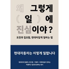 [현대자동차]왜 그렇게 일에 진심이야? : 도전과 집요함 현대차답게 일하는 법