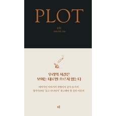 [드루]플롯 : 이야기의 기술, 드루, 에이미 존스