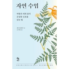 대전성인유화수업