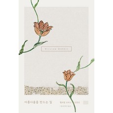 공식의아름다움