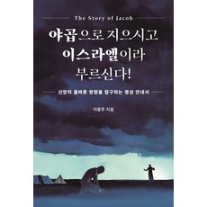 야곱으로 지으시고 이스라엘이라 부르신다!:신앙의 올바른 방향을 탐구하는 영성 안내서, 야곱으로 지으시고 이스라엘이라 부르신다!, 이동주(저), 페스트북, 이동주