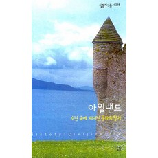 아일랜드 수난 속에 피어난 문화의 향기 -살림지식총서298, 살림
