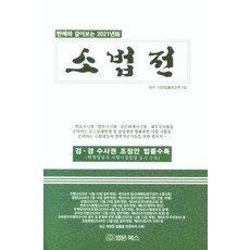 [법문북스]2021년판 판례와 같이보는 소법전 : 검.경 수사권 조정안 법률수록, 법문북스