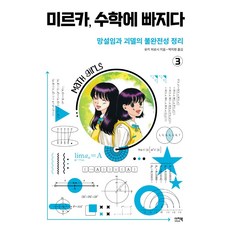 미르카수학에빠지다