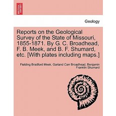 Reports on the Geological Survey of the State of Missouri 1855-1871. by G. C. Broadhead F. B. Meek ..., British Library, Historical Print Editions