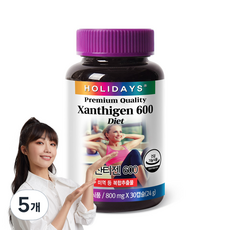 홀리데이즈 잔티젠600