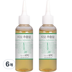 맑을담 지모추출물, 100ml, 6개