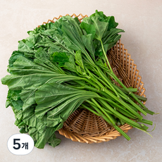 국내산 아욱, 1kg, 5개