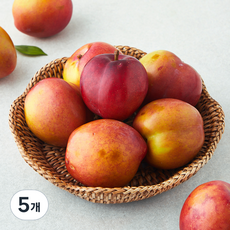 가족 의성 당도선별 후무사 자두, 5개, 1.2kg(특대)