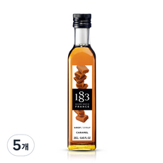 1883루틴 카라멜 시럽, 250ml, 5개