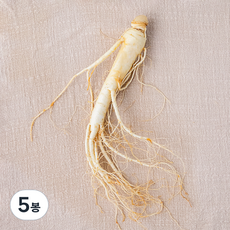 금산 세척 원수삼, 45g, 5봉