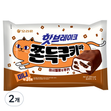 오리온 핫브레이크 쫀득쿠키바 미니 31p, 2개, 352g