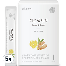 하루활력 레몬생강청, 300ml, 5개