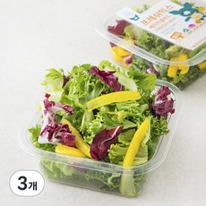 피그인더가든 데일리믹스 샐러드 KIT 630g, 1개 샐러드/닭가슴살 피그인더가든 프레쉬 믹스 베이직 샐러드, 70g, 3개