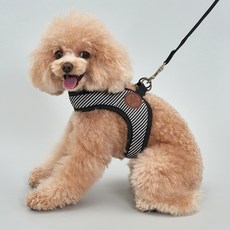Dog-i 寵物舒適胸背帶, 黑色的