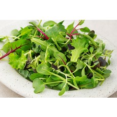 유기농 어린잎 채소믹스, 50g, 1개 - 이미지 2