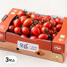 충남세도 GAP 인증 대추방울토마토