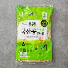 풀무원 국산콩 무농약 인증 콩나물, 400g, 1팩