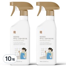 쉼표365 깔끔말끔 뿌리는 곰팡이제거제, 750ml,