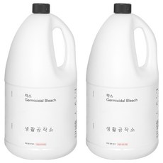 생활공작소 락스, 3L, 2개