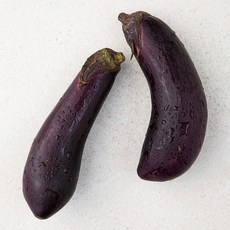가지이모토지로
