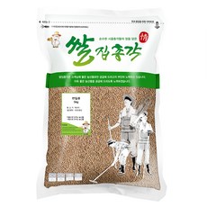 쌀집총각 렌틸콩, 5kg, 1개