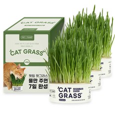 펫팀 고양이 캣그라스, 새싹보리, 3개