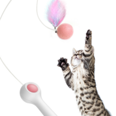 1138194380120963-7a847fb9-e962-4527-a0fe-b164d157c219.png