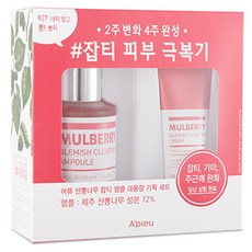 어퓨 산뽕나무 잡티 앰플 50ml + 크림 22ml 세트, 1세트