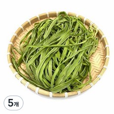 비니푸드 건궁채 마른줄기상추, 100g, 5개