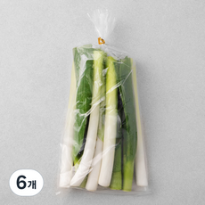 국내산 절단 대파, 300g, 6개