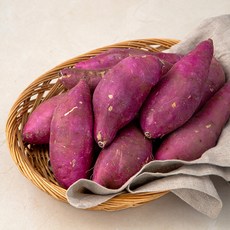 무농약 영암 황토고구마(특상), 1.5kg, 1봉