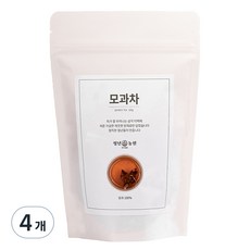 청년농원 저온가공 모과차 삼각티백, 50개입, 4개, 2g