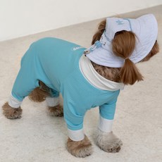 Dog Eye狗狗衣服多合一涼感衣, 1個, 天空
