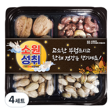 소원성취 네가지행복 부럼 견과세트, 230g, 4세트