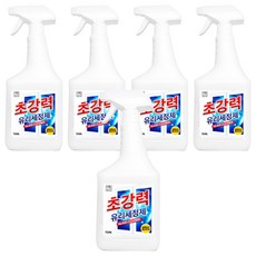 생활공식 초강력 유리 세정제, 750ml, 5개