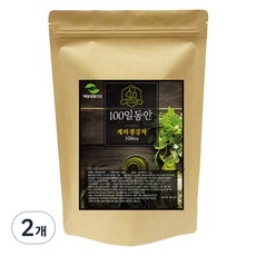 해밀생활건강 100일동안 계피 생강차 삼각티백, 1.2g, 100개입, 2개