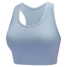 Homegym 歐美高強度挖背運動內衣 L 馬卡龍藍，高強度支撐，透氣舒適，時尚挖背設計