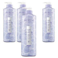 엘라스틴 솔트 브리즈 핑크솔트 스케일링 샴푸, 4개, 700ml