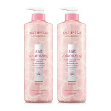 엘라스틴 솔트 브리즈 핑크솔트 볼륨 샴푸, 2개, 700ml