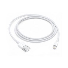 아이폰usb Apple 정품 Lightning-USB 충전 케이블 Lightning USB 1m