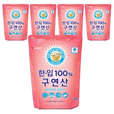 한입 100% 구연산, 1kg, 5개