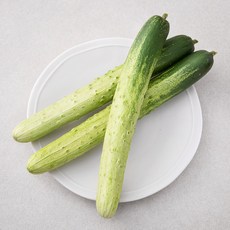 곰곰 GAP 백다다기오이, 3입, 1봉, 3입