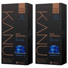 카누 바리스타 머신 전용 캡슐커피 와일드워터폴, 9.5g, 10개입, 2개