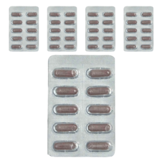 弘茂 益利素西洋接骨木精華素膠囊，每盒80份，每份0.5公克, 10顆, 500mg, 5盒