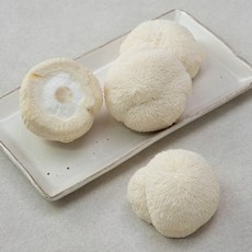 국내산 친환경 노루궁뎅이 버섯 4입, 340g, 1팩