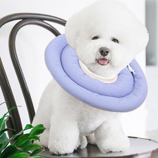 DING DONG PET 寵物防咬舔頭套圈, 藍色, 1個